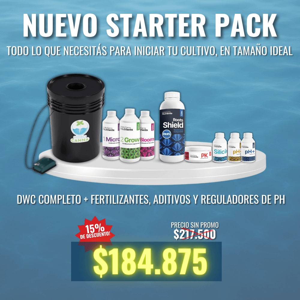 Nuevo Starter Pack